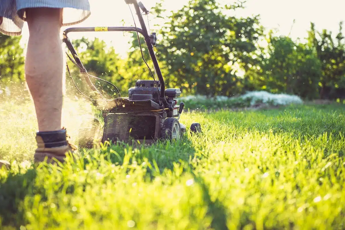 Les règles de tonte pour le lundi de Pentecôte : ce que vous devez savoir